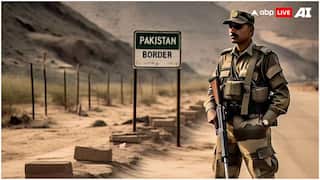 BSF Apprehends Pakistani Ranger In Rajasthan Amid Standoff Over Detained Indian Jawan: Report