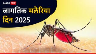 World Malaria Day 2025 : मलेरियाचा हृदय आणि रक्तवाहिन्यांवर नेमका कसा होतो परिणाम? वाचा मलेरियाची लक्षणं