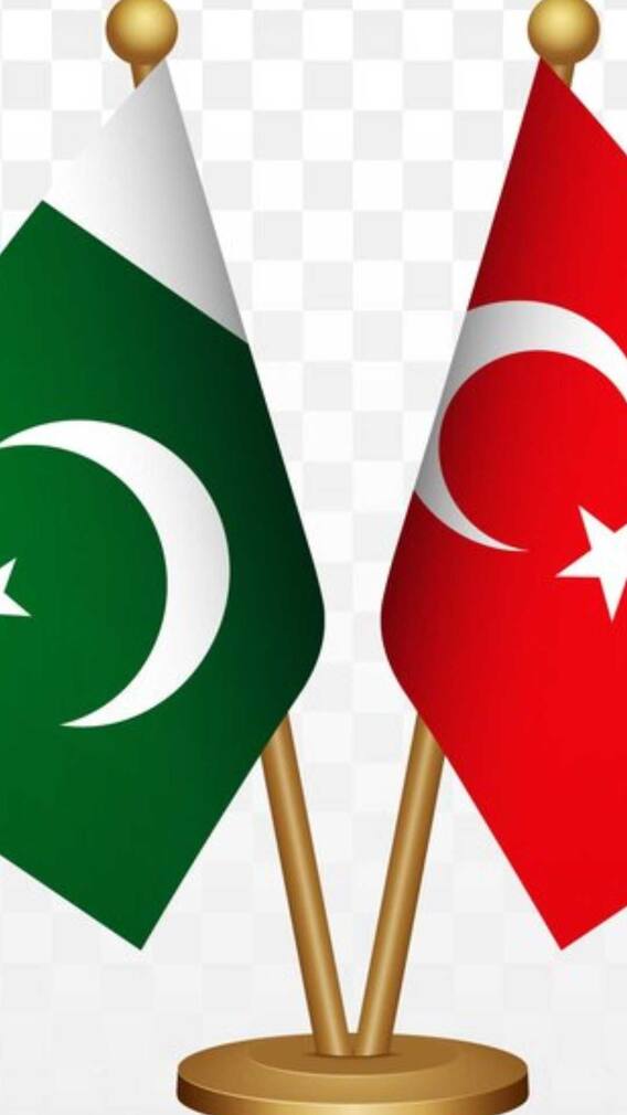 पाकिस्तान और तुर्किए के झंडे में सिर्फ इतना है अंतर