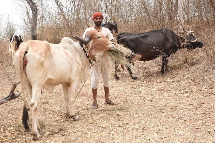तिनं महिषासुराचेच हेर मारून परिस्थिति बिकट केली आहे.