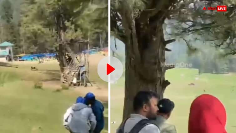 सामने कत्लेआम मचा रहे थे आतंकी, पेड़ के पीछे जान बचाकर छिपे थे लोग- पहलगाम हमले का नया वीडियो