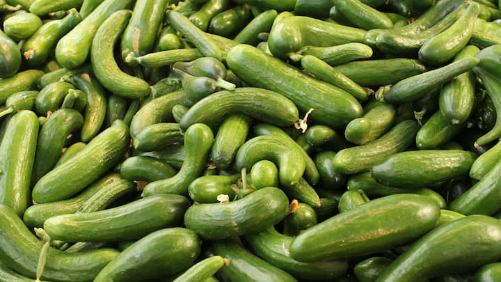 उन्हाळ्यात शरीराला थंडावा देण्यासाठी काकडी हा सर्वात स्वस्त, आरोग्यदायी आणि प्रभावी पर्याय मानला जातो.