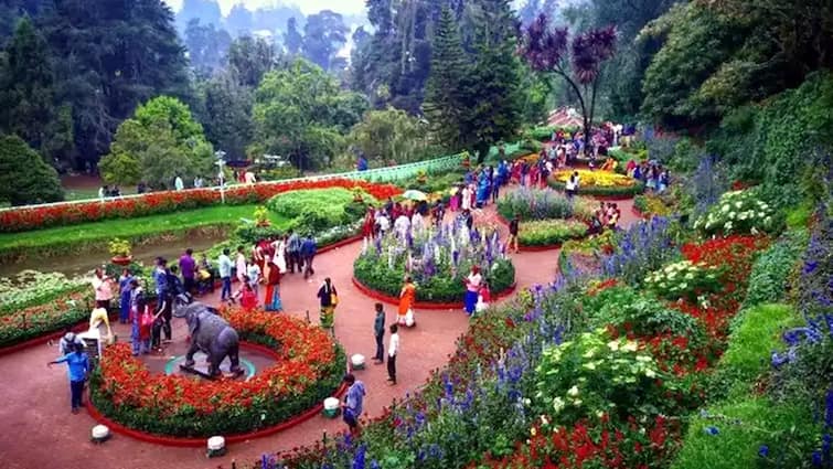 Kodaikanal so many places to visit Here are the full details tnn கொடைக்கானலில் பார்க்க வேண்டிய இடங்கள் இவ்வளவு இருக்கா? அது என்னென்ன தெரிஞ்சிக்கோங்க