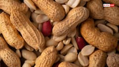 डायबिटीज कंट्रोल करने के लिए रोजाना खाएं ये ड्राईफ्रूट्स, शुगर लेवल हमेशा रहेगा डाउन