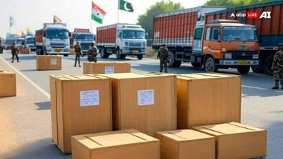 India Pakistan trade impact: સિંધુ જળ સંધિ રદ, વિઝા રદ્દીકરણ અને અન્ય કડક પગલાં બાદ વેપાર પર અસર, ડ્રાયફ્રુટ્સથી લઈને રોક સોલ્ટ સુધીના ભાવ વધી શકે.