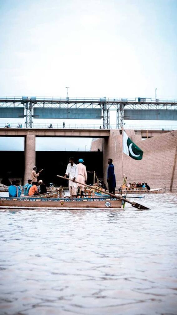 पाकिस्तान से भारत क्या-क्या खरीदता है?