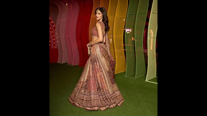 6. Regal Embroidered Lehenga: The richly embroidered lehenga featured stunning patterns. Ananya Panday wore a matching sleeveless blouse with it that had bead detailing for an enchanting look. She opted for a statement maang tikka that gave a royal feel, making the ensemble ideal for weddings or festivities. (Image Source: Instagram/@ananyapanday)