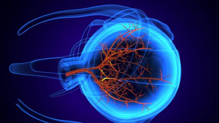 ১৮ এপ্রিল Science Advances জার্নালে গবেষণাপত্রটি প্রকাশিত হয়েছে। নয়া আবিষ্কৃত রংটিকে Olo বলছেন বিজ্ঞানীরা।