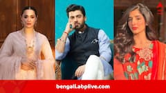 ‘এই যন্ত্রণা, এই শোক…’, পহেলগাঁও নিয়ে মুখ খুললেন পাকিস্তানি তারকারা, নাশকতার তীব্র নিন্দা করলেন ফাওয়াদ-হানিয়া-মাওরা