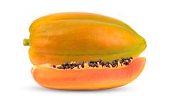 Papaya Benefits : వేసవిలో బొప్పాయి రోజూ తింటే కలిగే లాభాలివే.. ఆ సమస్యలు దూరం