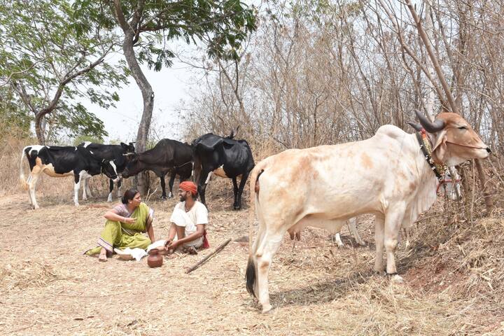 अलक्ष्मीचा भूतलावर सुरू झालेला हाहाकार हा आई तुळजाभवानी समोर महिषासुराच्या वाढत्या उपद्रवासोबतच मोठे आव्हान ठरत आहे.