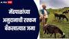 मेंढपाळांच्या अनुदानाची रक्कम थेट बँक खात्यात जमा, किती मेंढपाळांना किती मिळाली रक्कम? 
