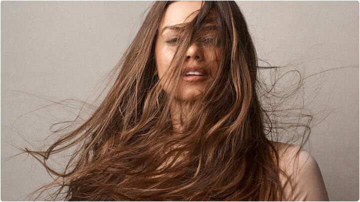 వేసవిలో దుమ్ము, కాలుష్యం, చెమట కారణంగా జుట్టు పొడిగా, నిర్జీవంగా మారుతుంది. ఎంతకేర్ తీసుకున్నా జుట్టు రాలిపోతూ.. చుండ్రు సమస్యలను పెంచుతుంది.