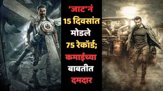 Jaat Box Office Collection Day 15: 100 कोटींच्या 'जाट'नं 15 दिवसांत मोडले 75 रेकॉर्ड; सनी देओलच्या फिल्मचं बॉक्स ऑफिस कलेक्शन किती?
