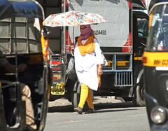 Weather Update : राज्यात पुढील चार ते पाच दिवसात उष्णतेची लाट अन् पावसाचा अंदाज, विदर्भ-मराठवाड्यात गडगडाटासह पावसाची शक्यता