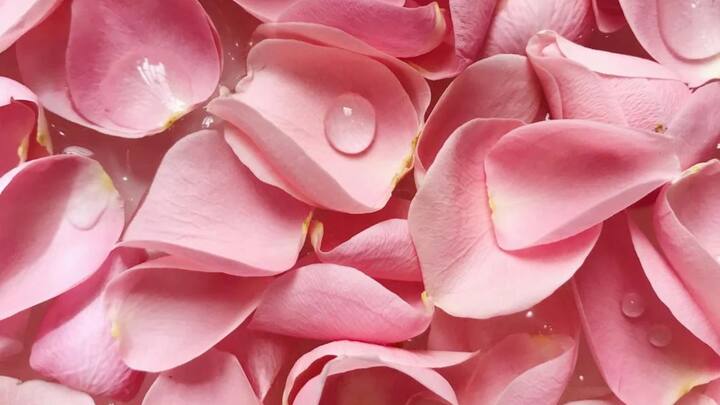 সম পরিমাণ অ্যালোভেরার নির্যাস ও গোলাপ জল মিশিয়ে নিতে হবে। এই মিশ্রণে ত্বক হাইড্রেট হয়। লালভাব, চুলকানি দূর হতে পারে। ত্বকে pH ব্যালেন্স বজায় থাকে। দিনভর ত্বক ফ্রেশ থাকে। 