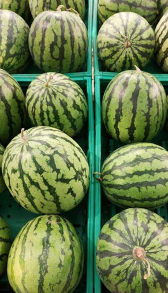 तरबूज के छिलके से क्या बनता है?