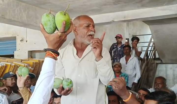 તાલાલા મેંગો માર્કેટમાં કેસર કેરીનો પ્રારંભ થયો છે. પ્રથમ બોક્સ ગાયોના ફાળામાં 12000 રૂપિયામાં વેચાયું હતું. આ સાથે જ બીજુ બોક્સ 9000 રૂપિયામાં ગાયોના ફાળામાં વેચાયું હતું.