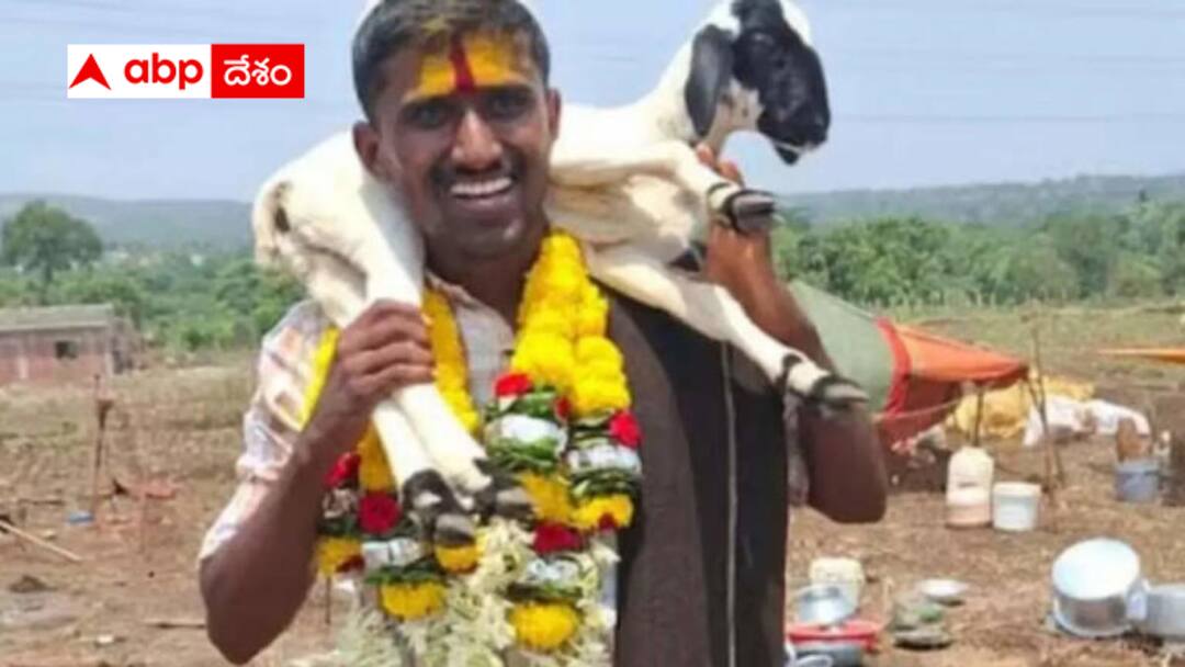 From grazing goats to cracking UPSC Shepherd boy rises to rank 551 Inspiring Young Man: గొర్రెల కాపరి ఐపీఎస్ అవుతున్నాడు - ఈ కుర్రాడి సక్సెస్ స్టోరీ కిక్ ఇస్తుంది !