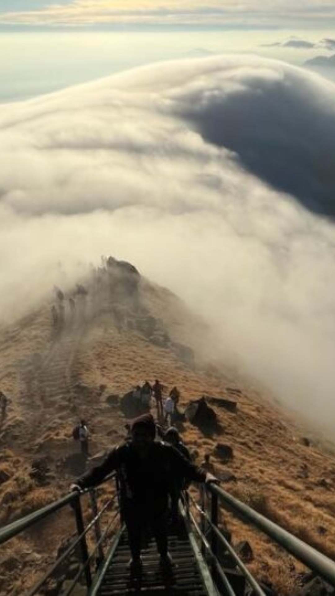 कलसुबाई की ऊंचाई 1,646 मीटर यानी 5,400 फीट है