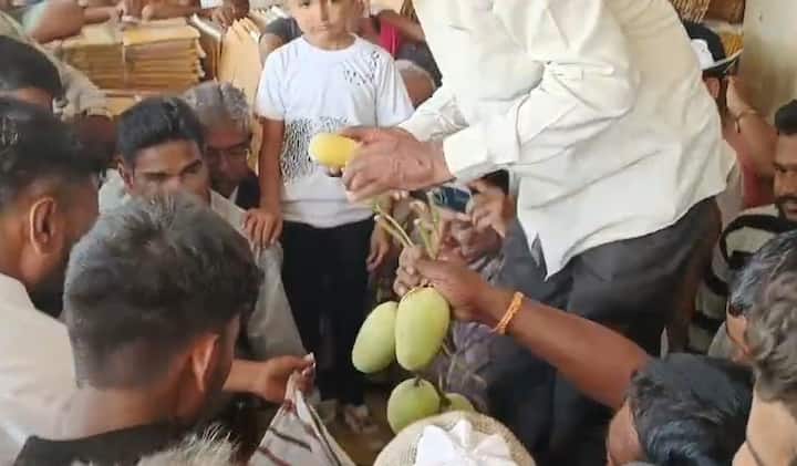 કેસર કેરીના રસિકો માટે સારા સમાચાર છે કે તાલાલા માર્કેટ યાર્ડમાં કેસર કરીની સિઝનનો પ્રારંભ થઈ ગયો છે.