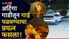 Parli Crime : परळीत चोरांचा उच्छाद, गाईंनाही सोडेनात! गुंगीचे औषध खाऊ घालून गाई पळवण्याचा प्रयत्न फसला