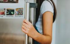 ਗਰਮੀਆਂ 'ਚ ਕਿੰਨਾ ਹੋਣਾ ਚਾਹੀਦਾ ਫਰਿੱਜ ਦਾ ਤਾਪਮਾਨ? ਜਾਣ ਲਓ ਜਵਾਬ