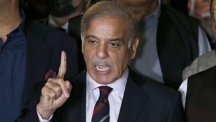 Pakistan PM Shehbaz Sharif says ready for war and peace choice is yours ceasefire with india operation sindoor हरकतों से बाज नहीं आ रहा पाकिस्तान, शहबाज शरीफ ने फिर दी गीदड़भभकी, बोले- 'भारत खुद चुनाव कर ले...' 