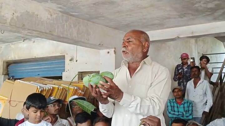 માર્કેટમાં કેરીના ફળ પર ભાવ નક્કી કરવામાં આવે છે. જેવું ફળ હોય તે પ્રમાણે કેરીના બોક્સના ભાવ નક્કી થતા હોય છે. તાલાલા માર્કેટ યાર્ડમાં કેસર કરીની સિઝનનો પ્રારંભ થઈ ગયો છે.