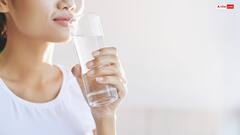 गर्मियों में शरीर को ठंडा रखेगा ये काले रंग का छोटा सा बीज, जानिए इसके गजब के फायदे