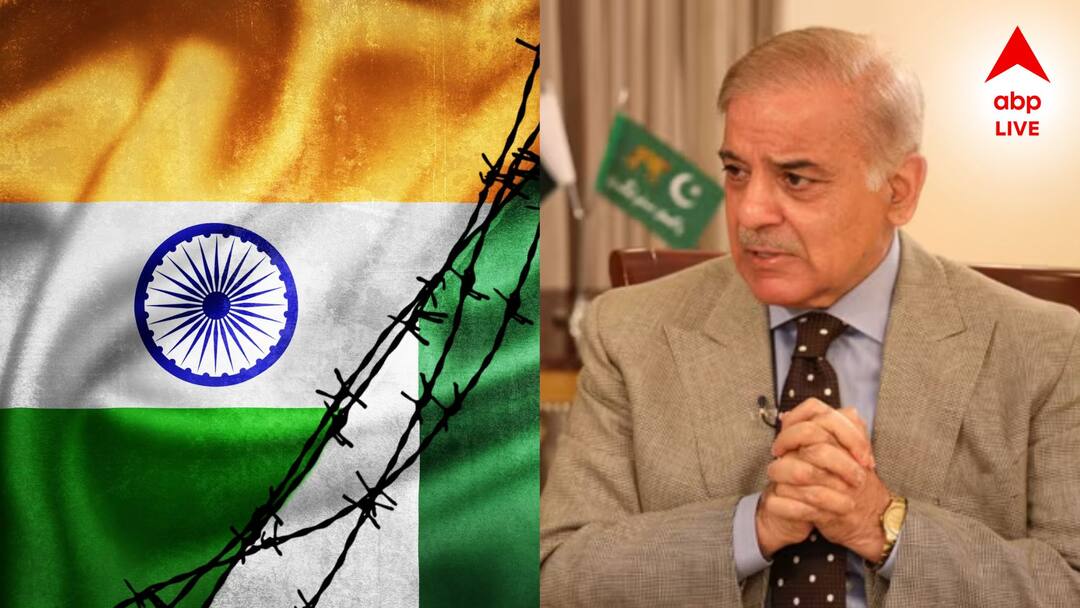 Shehbaz Sharif Reacts To Pahalgam Attack says Pakistan Ready For Pakistan: যুদ্ধের পাল্টা হুঙ্কার দিয়ে ভারতকেই পাক প্রধানমন্ত্রীর আস্ফালন! 'ভারত কোনও হামলা চালালেই...'