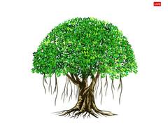 रविवार के उपाय कैसे जीवन बदल सकते हैं, नहीं जानते हैं तो फौरन जान लें