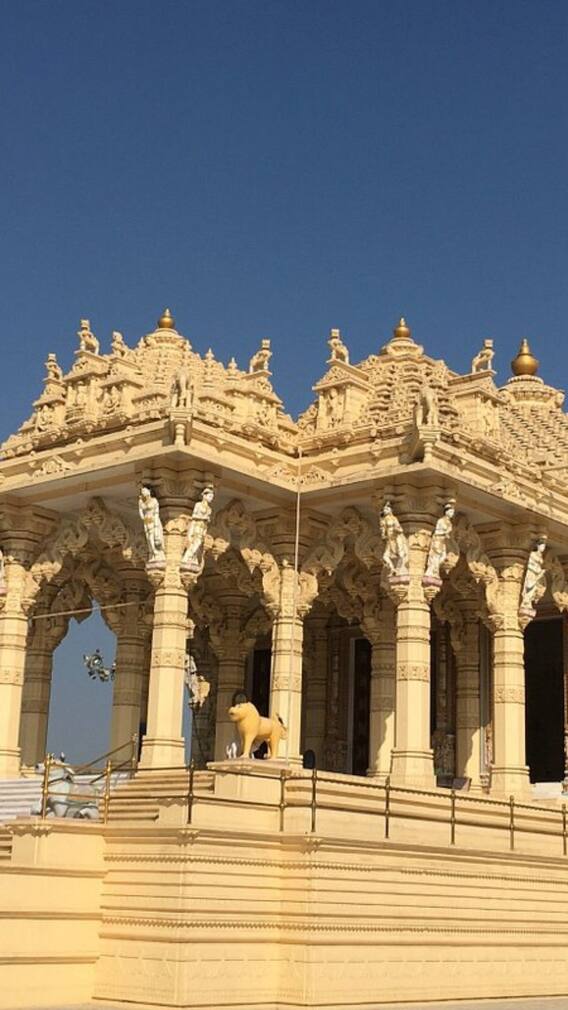 गुजरात के मेहसाणा में गर्मी की छुट्टियों में पक्षी अभयारण्य से लेकर ऐतिहासिक स्थलों तक की करें सैर