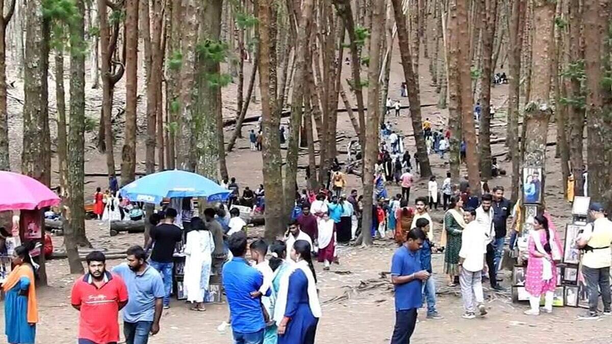 கொடைக்கானல் , ஊட்டிக்கு  கூடுதல் வாகனங்களுக்கு அனுமதி