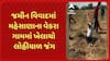 Mehsana News: જમીન વિવાદમાં મહેસાણાના વેકરા ગામમાં ખેલાયો લોહીયાળ જંગ
