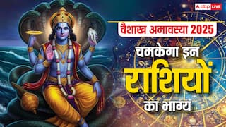 Vaishakh Amavasya 2025: वैशाख अमावस्या पर खुल जाएगा इन राशियों का भाग्य, बस करने होंगे ये काम