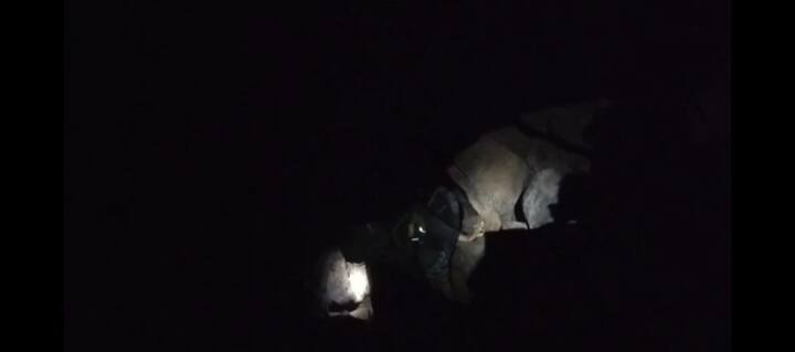 गडचिरोली : गेल्या पाच दिवसांपासून छत्तीसगडच्या कर्रेगट्टा जंगलात सुरू असलेल्या सर्वात मोठ्या नक्षलविरोधी ऑपरेशनला मोठे यश आले आहे. कर्रेगट्टाच्या टेकड्यांवर एक हजार नक्षलवादी लपून बसतील, अशी गुहा सापडली आहे.