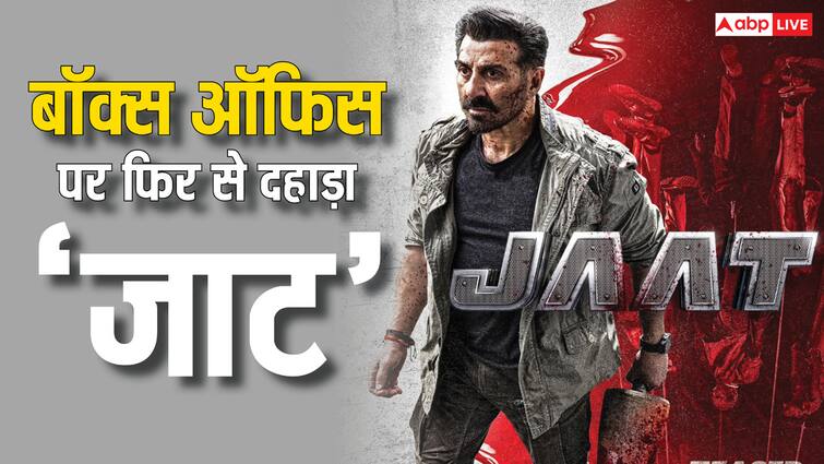 Jaat Box Office Collection Day 18: अभी हिट नहीं हुई 'जाट', इसीलिए आज बॉक्स ऑफिस पर फिर से गरजे सनी पाजी, कमाई में आई दोगुना तेजी jaat box office collection day 18 sunny deol roars again on third sunday in front of kesari 2 and before ajay devgn raid 2 release Jaat Box Office Collection Day 18: अभी हिट नहीं हुई 'जाट', इसीलिए आज बॉक्स ऑफिस पर फिर से गरजे सनी पाजी, कमाई में आई दोगुना तेजी