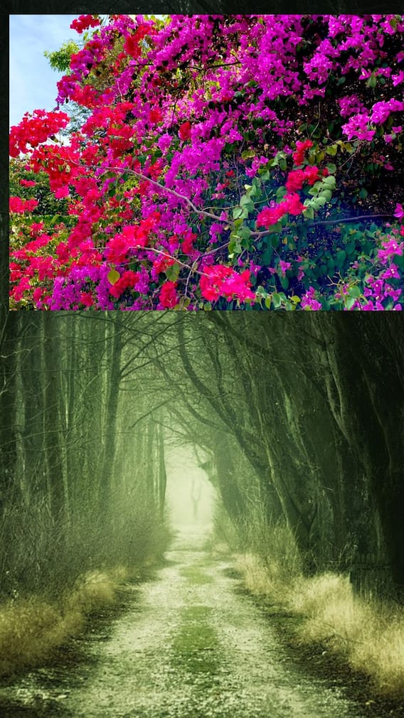 சென்னையில் பார்க்க வேண்டிய இடம் இது!