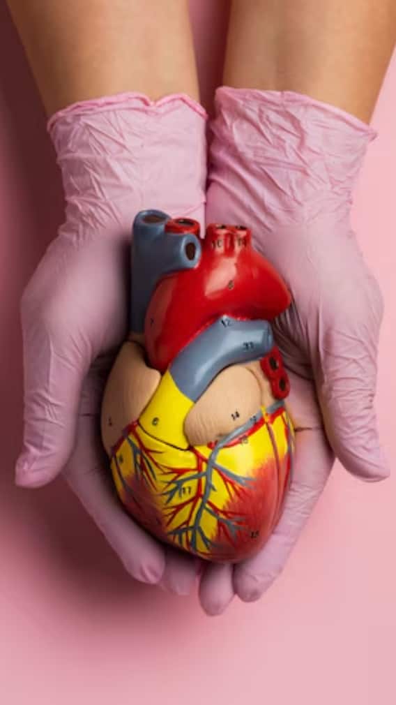 कोलेस्ट्रॉल बढ़ने पर खाली पेट क्या खाना चाहिए?