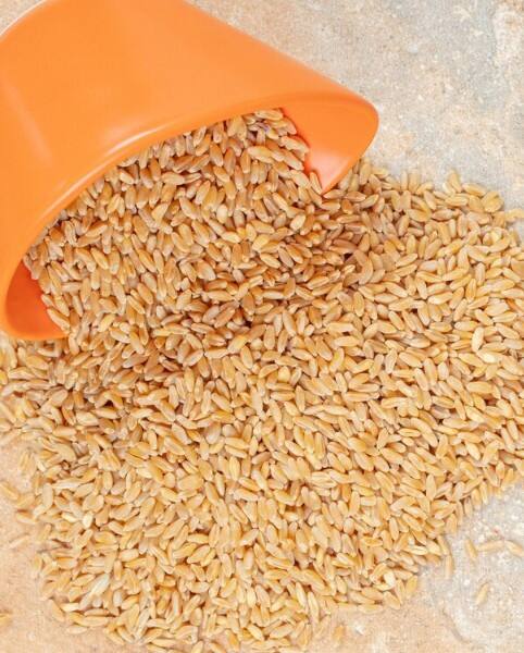 ਹਾਸਲ ਜਾਣਕਾਰੀ ਅਨੁਸਾਰ ਪੰਜਾਬ ਦੀਆਂ ਮੰਡੀਆਂ ਵਿੱਚ ਹੁਣ ਤੱਕ 96.17 ਲੱਖ ਮੀਟਰਕ ਟਨ ਕਣਕ ਦੀ ਆਮਦ ਹੋ ਚੁੱਕੀ ਹੈ ਜਿਸ ’ਚੋਂ 91.18 ਲੱਖ ਮੀਟਰਕ ਟਨ ਕਣਕ ਦੀ ਖਰੀਦੀ ਗਈ ਹੈ। ਜਦੋਂਕਿ ਖਰੀਦੀ ਗਈ 91.18 ਲੱਖ ਮੀਟਰਕ ਟਨ ਕਣਕ ’ਚੋਂ ਸਿਰਫ਼ 31.22 ਲੱਖ ਮੀਟਰਕ ਟਨ ਕਣਕ ਦੀ ਚੁਕਾਈ ਹੋ ਸਕੀ ਹੈ। ਇਹ ਕੁੱਲ ਖਰੀਦੀ ਗਈ ਕਣਕ ਦਾ 30 ਫ਼ੀਸਦ ਦੇ ਕਰੀਬ ਹੀ ਬਣਦਾ ਹੈ। ਹਾਲਾਂਕਿ ਵਿਭਾਗ ਵੱਲੋਂ ਪਿਛਲੇ ਤਿੰਨ-ਚਾਰ ਦਿਨਾਂ ਤੋਂ ਕਣਕ ਦੀ ਲਿਫਟਿੰਗ ਦੇ ਕੰਮ ਵਿੱਚ ਤੇਜ਼ੀ ਲਿਆਉਣ ਦੀ ਕੋਸ਼ਿਸ਼ਾਂ ਕੀਤੀਆਂ ਜਾ ਰਹੀਆਂ ਹਨ।