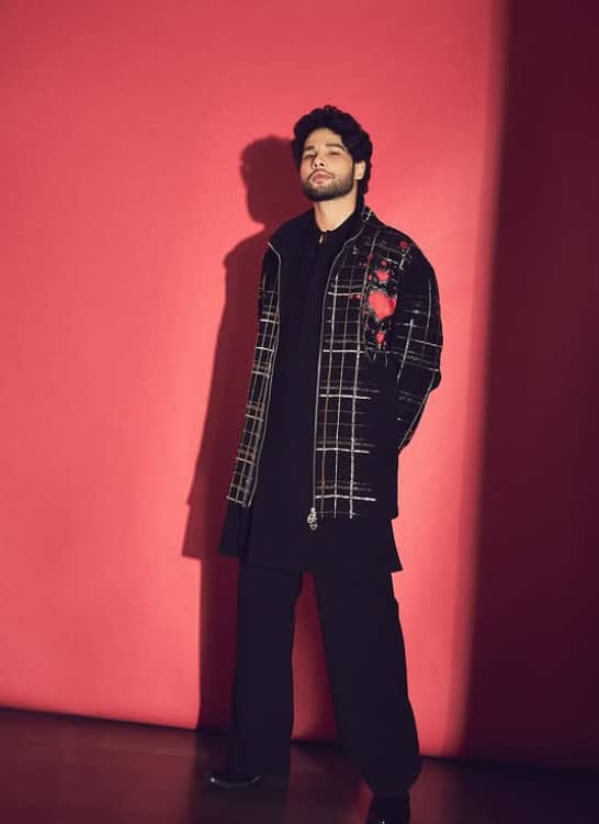 In a conversation with Mashable India, Siddhant had told, 'When I was 21-22 years old, I had auditioned. I also got the film. The workshop went on for 6 months. So I started wearing clothes according to the role and the role.