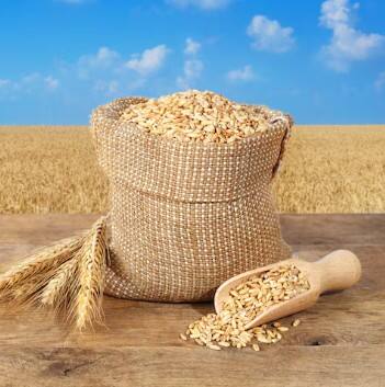 ਪੰਜਾਬ ਮੰਡੀ ਬੋਰਡ ਅਨੁਸਾਰ ਸੰਗਰੂਰ ਜ਼ਿਲ੍ਹੇ ਵਿੱਚ 193000 ਮੀਟਰਕ ਟਨ, ਬਠਿੰਡਾ ਜ਼ਿਲ੍ਹੇ ਵਿੱਚ 41000 ਮੀਟਰ ਟਨ ਕਣਕ ਅਤੇ ਮਾਨਸਾ ’ਚ 15900 ਮੀਟਰਕ ਟਨ ਕਣਕ ਪ੍ਰਾਈਵੇਟ ਵਪਾਰੀਆਂ ਵੱਲੋਂ ਐੱਮਐੱਸਪੀ ਤੋਂ ਉਪਰ ਖਰੀਦੀ ਗਈ ਹੈ। ਇਸੇ ਤਰ੍ਹਾਂ ਬਰਨਾਲਾ, ਮੋਗਾ, ਫਰੀਦਕੋਟ, ਫਾਜ਼ਿਲਕਾ ਤੇ ਮੁਕਤਸਰ ਜ਼ਿਲ੍ਹਿਆਂ ਵਿੱਚ ਵੀ ਪ੍ਰਾਈਵੇਟ ਵਪਾਰੀਆਂ ਵੱਲੋਂ ਸਰਕਾਰੀ ਭਾਅ ਤੋਂ ਉਪਰ ਕਣਕ ਨੂੰ ਖਰੀਦਿਆ ਜਾ ਰਿਹਾ ਹੈ।