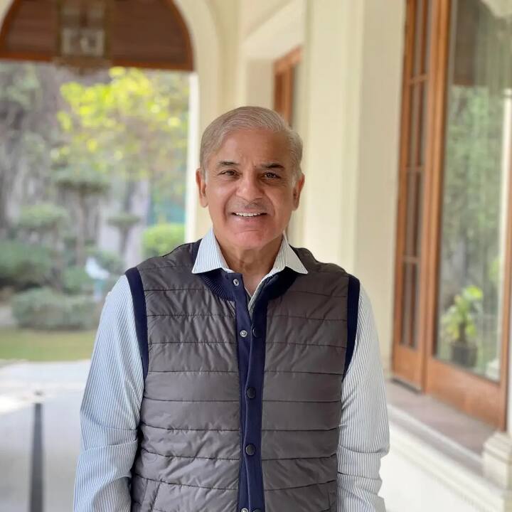 हाल ही में पाकिस्तान के प्रधानमंत्री शहबाज शरीफ ने कहा कि पाकिस्तान शांति के लिए प्रतिबद्ध है. मगर देश की सुरक्षा से कोई समझौता नहीं किया जा सकता.