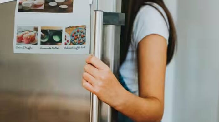 તે સિવાય ઉનાળામાં બહાર રાખેલ કોઈપણ ખોરાક, શાકભાજી કે દૂધ બગડી જાય છે. તેથી આ વસ્તુઓને પણ તાત્કાલિક ફ્રીજમાં રાખવી પડશે. એટલા માટે ઉનાળામાં રેફ્રિજરેટર ખૂબ જ મહત્વપૂર્ણ વસ્તુ બની જાય છે.