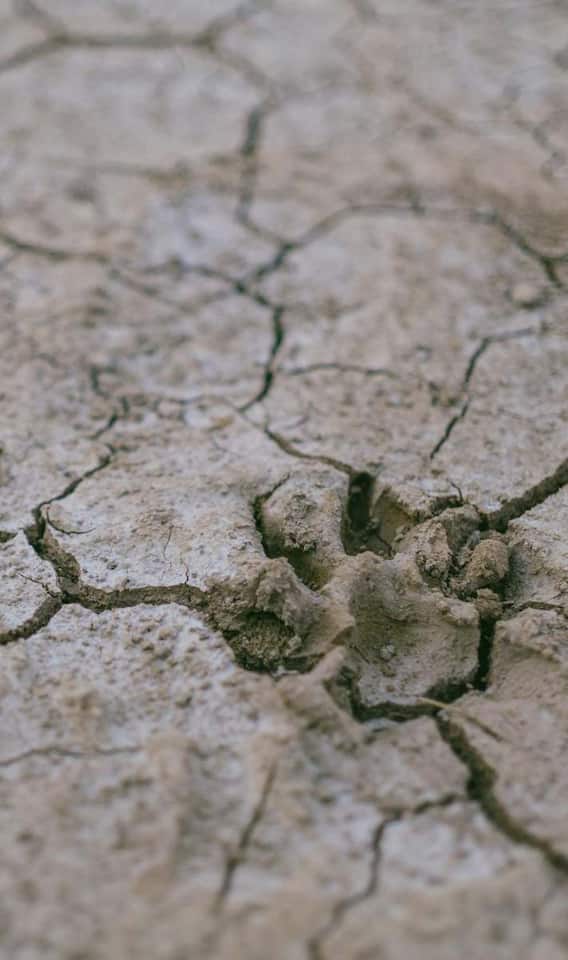 कहां पड़ा था दुनिया का सबसे बड़ा अकाल?