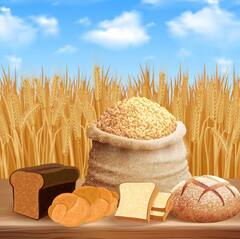 ਕਣਕ ਦੇ ਝਾੜ ਨੂੰ ਲੈ ਕੇ ਕਿਸਾਨ ਹੋਏ ਬਾਗੋਬਾਗ, ਕਣਕ ਦੇ ਮੋਟੇ ਦਾਣੇ ਕਰ ਰਹੇ ਮਾਲਾਮਾਲ