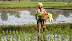 मजदूरी में 10% की बढ़ोतरी, तो बढ़ जाती है 5.5% तक खाद्य महंगाई