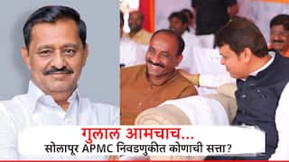 Solapur APMC Election Result: गुलाल आमचाच... सोलापूरच्या दोन्ही देशमुखांवर फडणवीसांचा पठ्ठ्याच वरचढ; बाजार समितीत सचिन कल्याणशेट्टींचा मोठा विजय