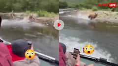 स्पीड बोट पर मस्ती कर रहे थे पर्यटक, तभी पानी में कूद पड़ा भालू... वायरल वीडियो ने उड़ाए होश!
